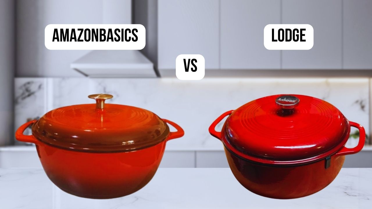 featured image of comparison Lodge VS AmazonBasics