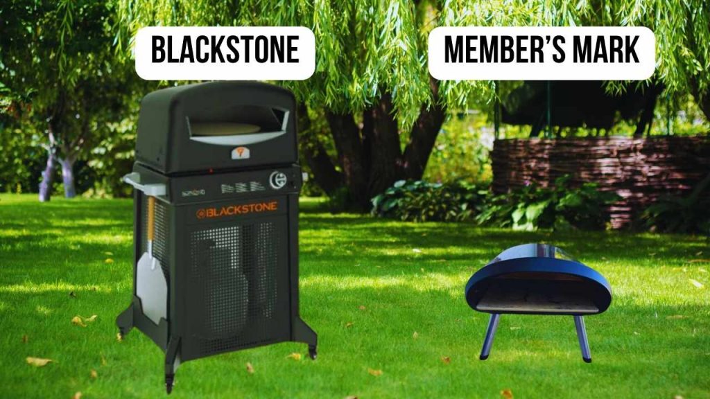 Blackstone VS Member’s Mark: Power Source